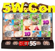 Sinta a adrenalina dos jogos de cassino com Bet55