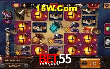 Experiência VIP Bet55